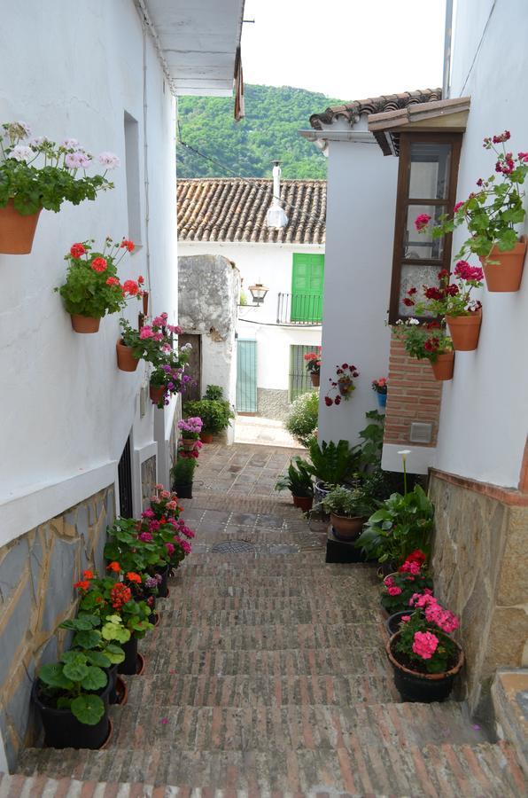 Casa La Puente Villa Jubrique Exterior foto